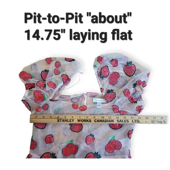 Sequin Strawberry Mesh Topshop Nylon Top size 2 - Picture 10 of 13